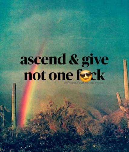 521943727_122219822384088259_3006346099991953577_n