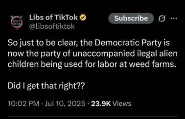 DemocratChildSlaveLaborForDrugCartels