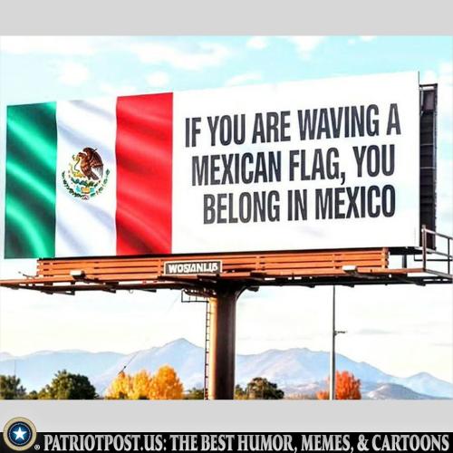 Mexican Flag