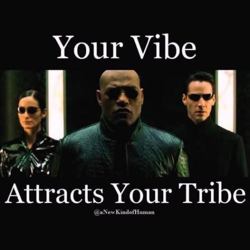 517797843_745135888402606_240618391956822692_n