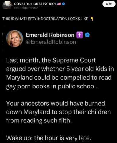 PUBLIC SCHOOLS GAY PORN