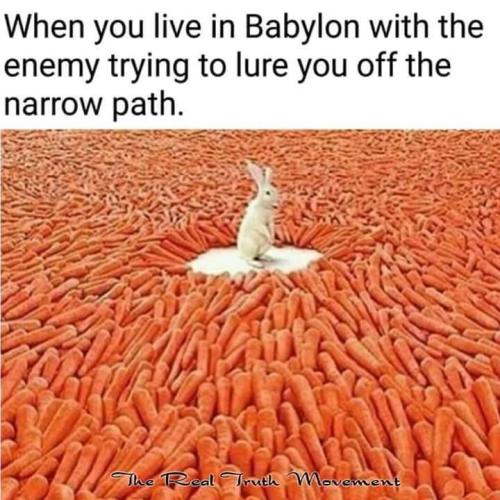 FB_IMG_1560215353685