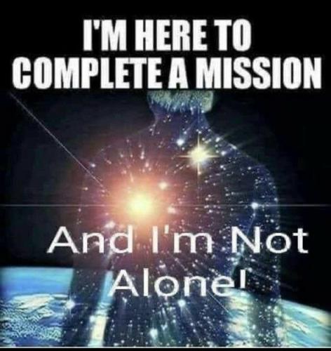 2a5dfed9858e0e115cdb950fce1d122d