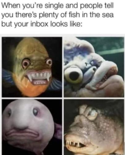 plenty of fish in the sea