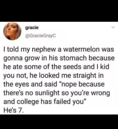 watermelon