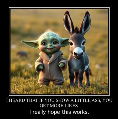 IMG_20250720_140755_072