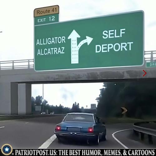 01K0C80YMD0K0ZNG02BVP23XEC