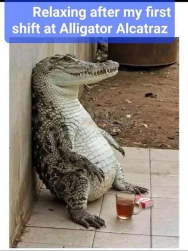 FB_IMG_1751644414412