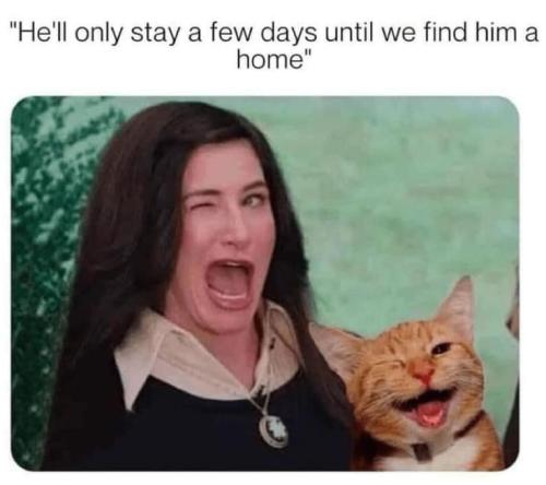 76112a78f14a4c922c93fde448ab1f9f