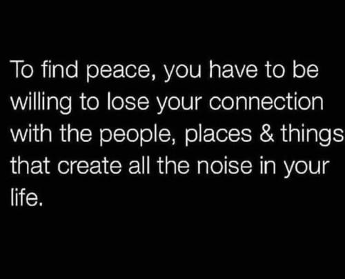 524033563_10161932167449958_19703417494766276_n