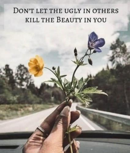 526111363_25086575660931744_8674594225439734892_n