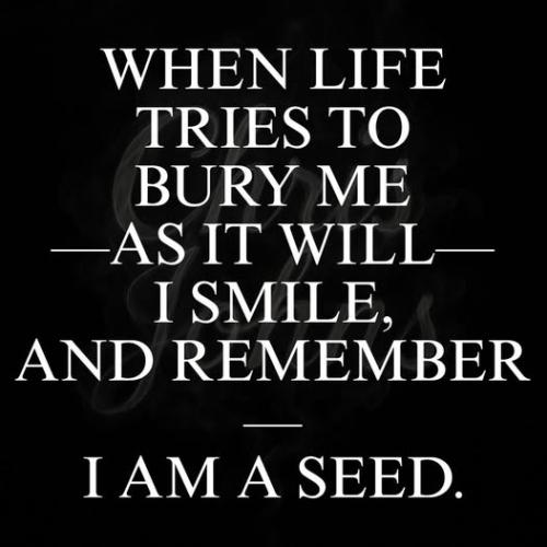 517807262_4097462300541445_5772603669999654253_n