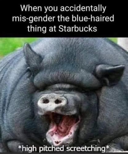 FB_IMG_1752370090030