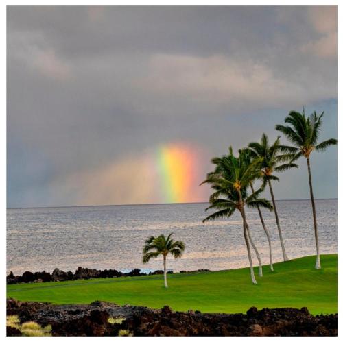 90f36756-a29b-407c-837c-a3b1ec12a499