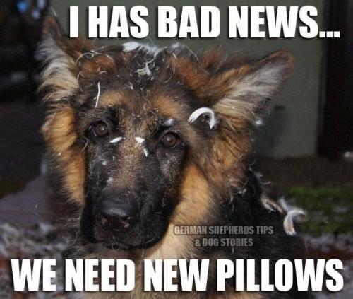 5a382e69a16e24232f8e1009a1dfa82a