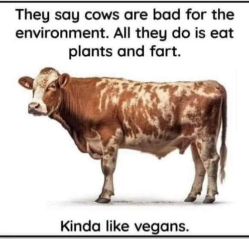 424686189_792113719608990_4824615101740467479_n