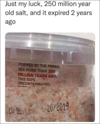 250 million year old salt