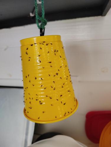 IMG_20250703_095216507_HDR