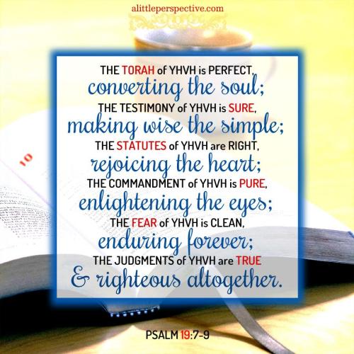 psa-19-7-unsplash-9x