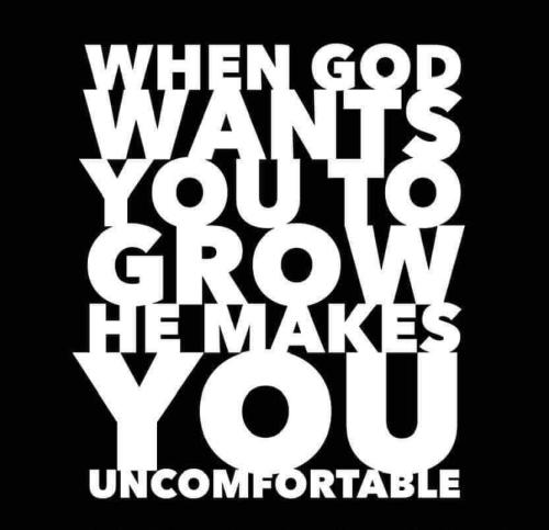 3009f4fd9724a350edc4a78b9e889e19