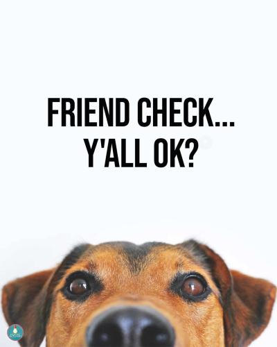 FB_IMG_1752529419939