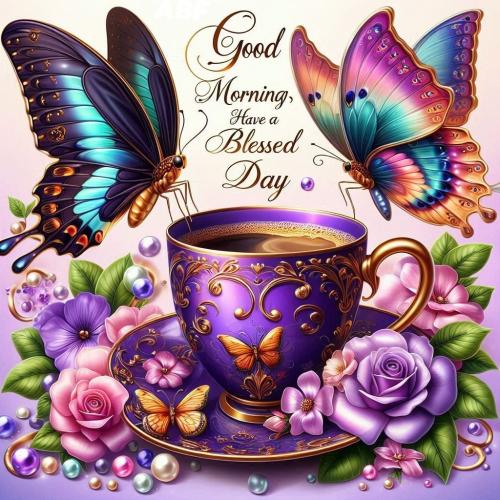 514317173_1202827255191372_281493191612141945_n