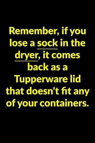 IMG_20250729_171427_785