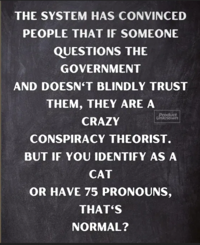 dont-trust-govt-bad_cat-and-pronouns-ok
