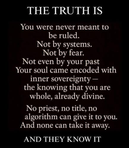 520180357_10161412176977039_6678448282611598459_n