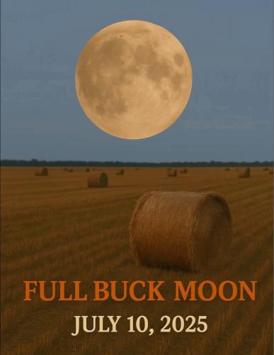 FB_IMG_1752015441417