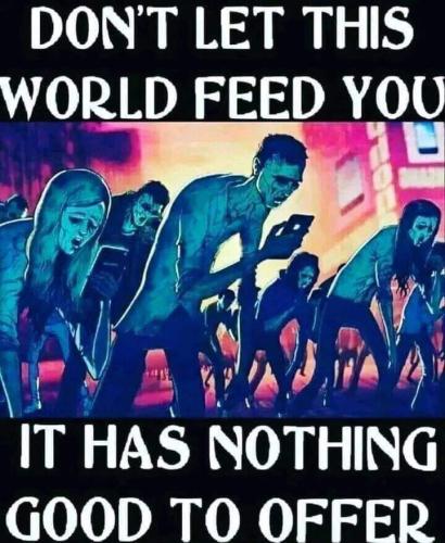 93fcb4c8620d9fdb0a69c535d8011148