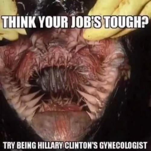 hillarys-gynecologist