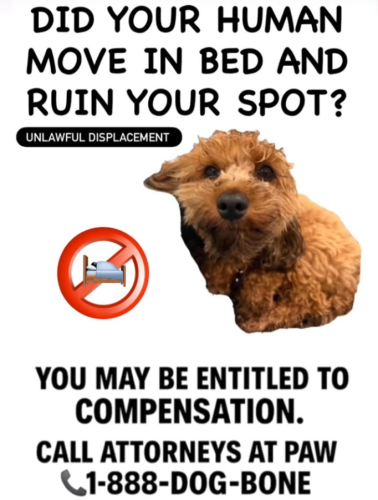 Screenshot 2025-07-31 075652