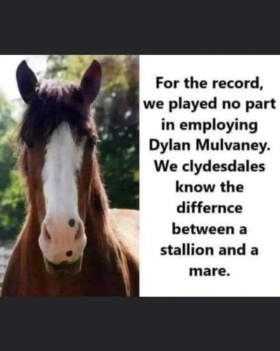 30d1f0dc-2cf7-4d11-8ae2-0acd8a7d616c