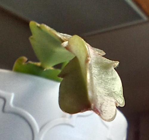 3901a01b-40f5-4c50-a699-368a341d1cb4