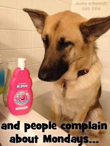 62588c15a260b33a382e7c537329ee95