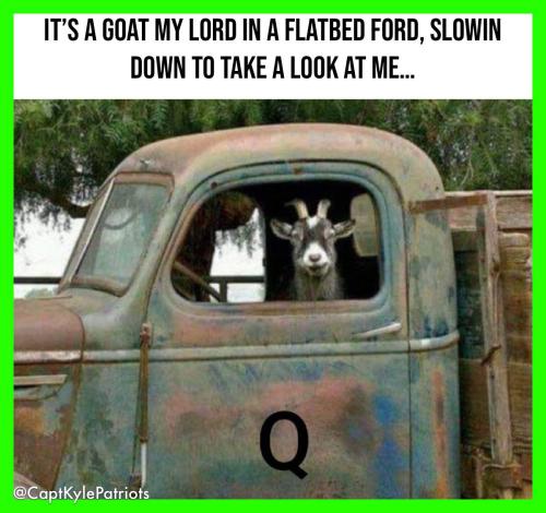 IMG_20250729_070009_374