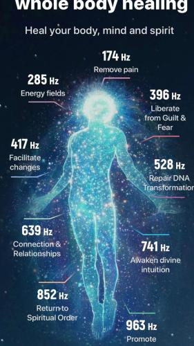 d9207c42bb8e6bd621e1855ccdeaf858