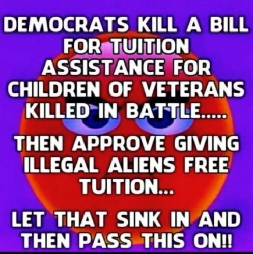 DemocratsKillAVeteranBillForTheChildren