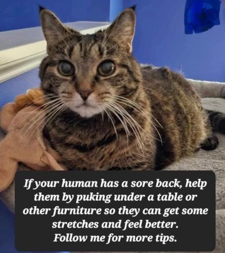 1373a722c8904bd59dd566c90de43993