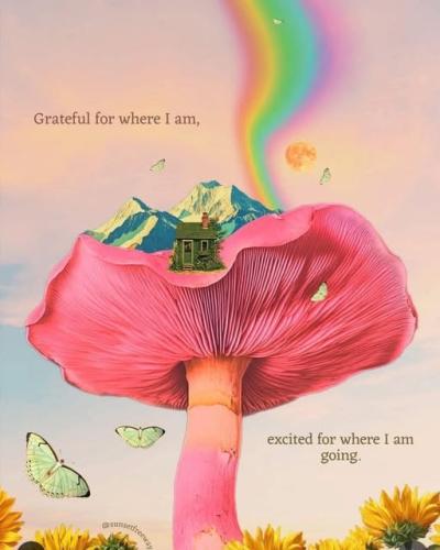 517444291_1771154103490468_3093136138948290892_n