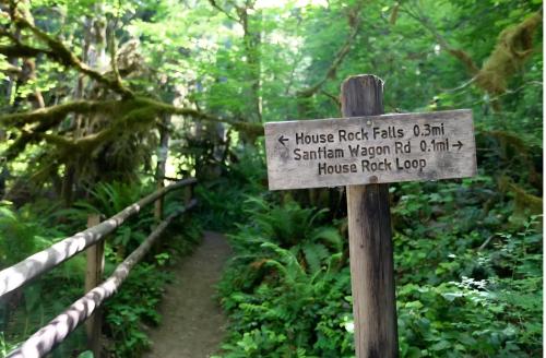 Screenshot_20250720_082630_Chrome