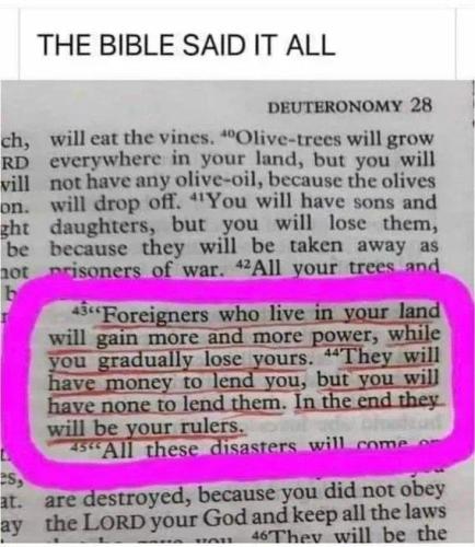 IMG_20250706_195323_485