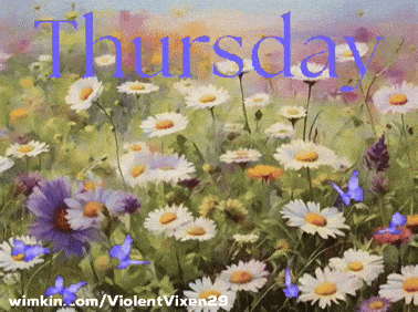 giphy-downsized-medium