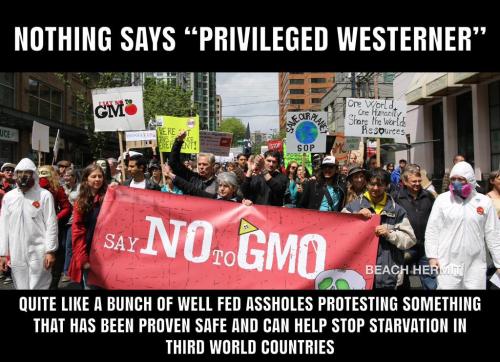 a3b29ed4-f481-405d-bf1e-31b42f0f1f6c