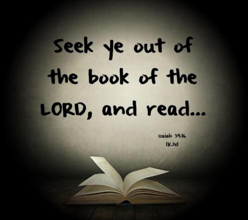 38e49abb-65c9-4664-b0ee-4fc89fe58824