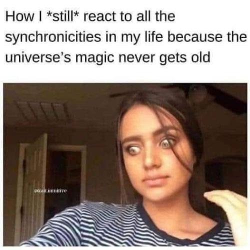 525751314_10172249005430344_9206806559674652265_n