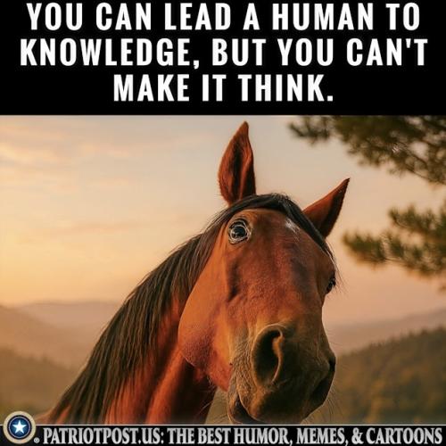 01JZVB5Z1BE4N5HXQWD7A6G27X