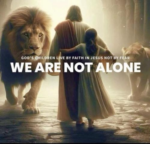 9e6b4bc9acebbe98c597ee938d220ad3