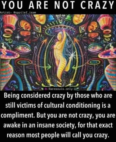 518406944_746553454927516_8260323050405574442_n